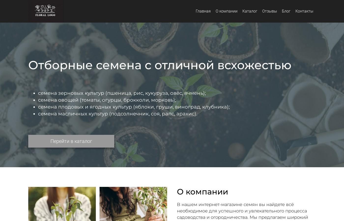 Шаблон интернет-магазина семян