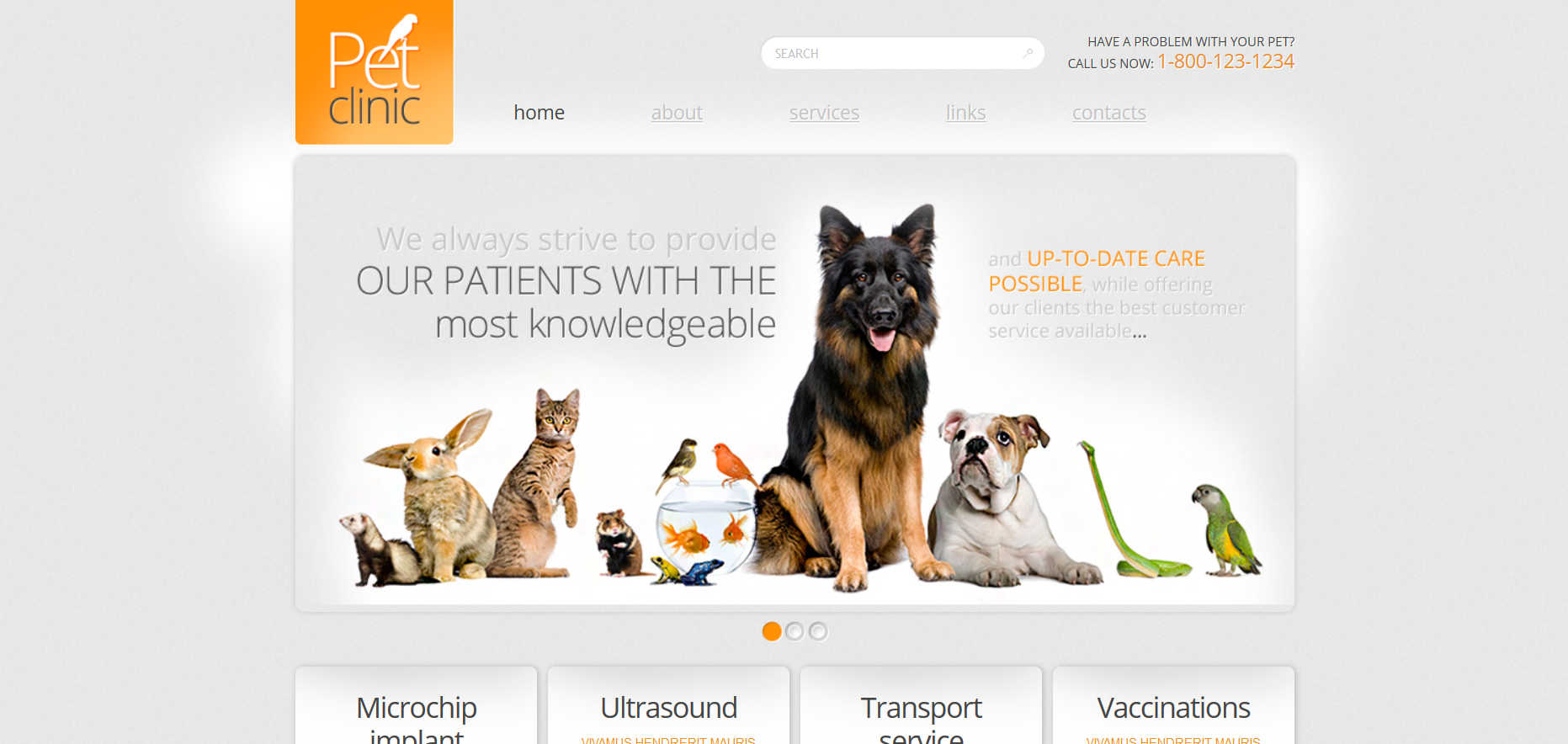 Шаблон сайта Животные №62