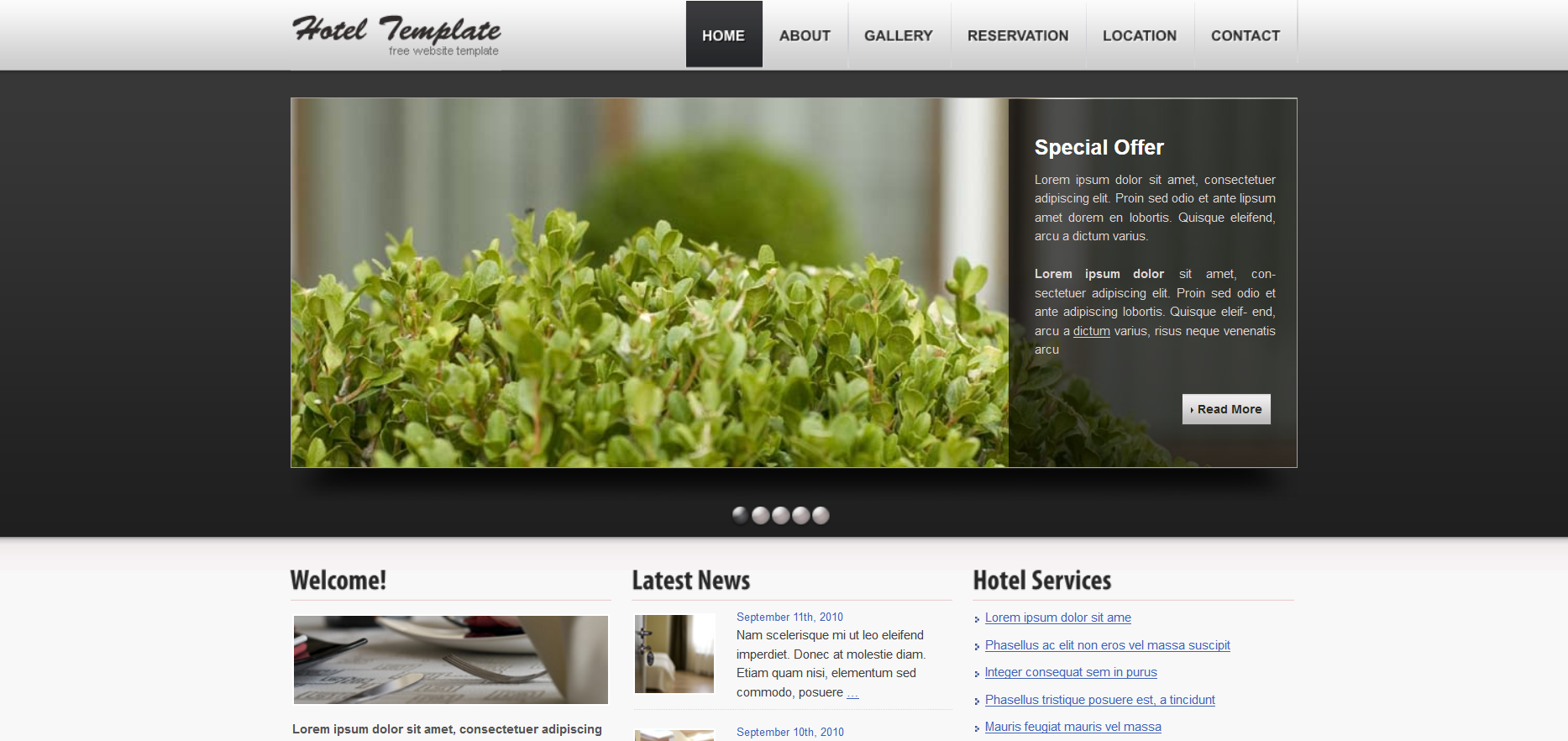 Шаблон сайта Путешествия №542